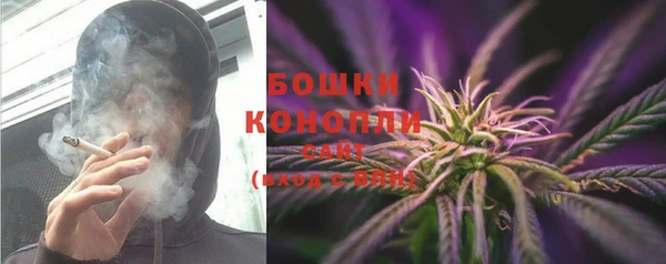 бошки Богданович