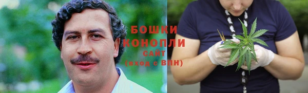 бошки Богданович