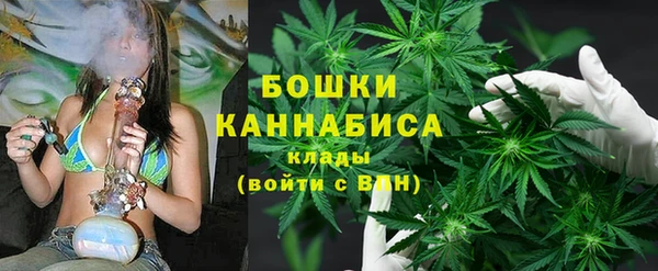 ПСИЛОЦИБИНОВЫЕ ГРИБЫ Богородск