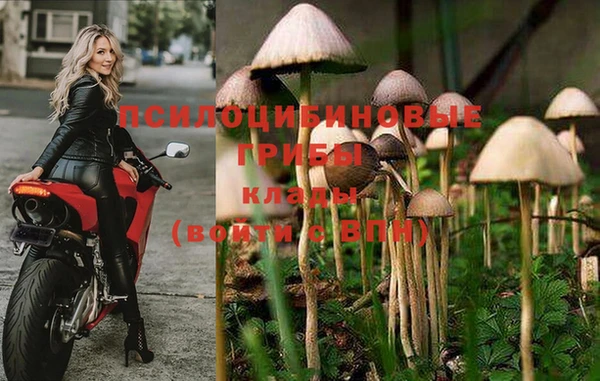 ПСИЛОЦИБИНОВЫЕ ГРИБЫ Богородск