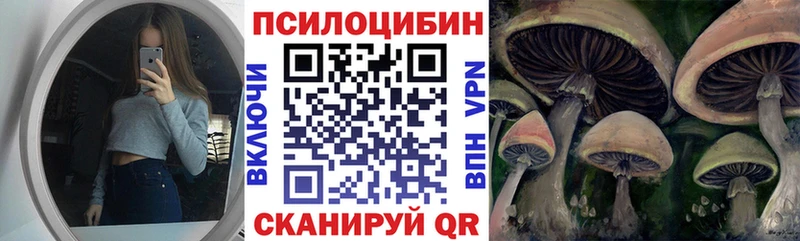Псилоцибиновые грибы Psilocybe  Купить  Ефремов 