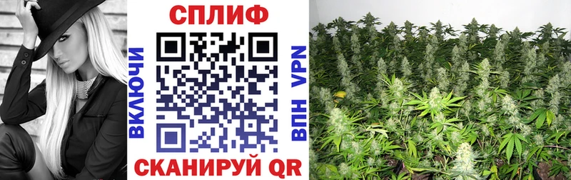 Шишки марихуана Ganja  Купить  Ефремов 